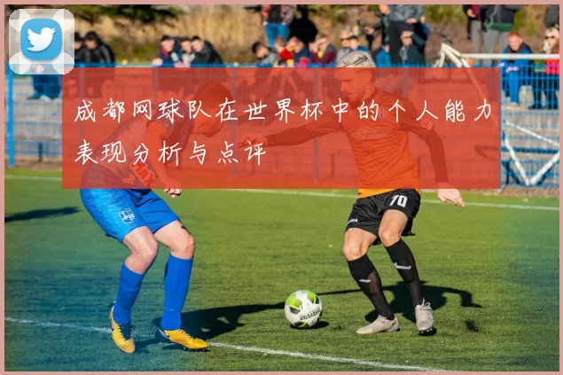 成都网球队在世界杯中的个人能力表现分析与点评