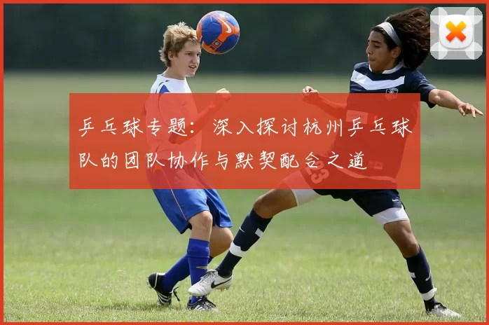乒乓球专题：深入探讨杭州乒乓球队的团队协作与默契配合之道