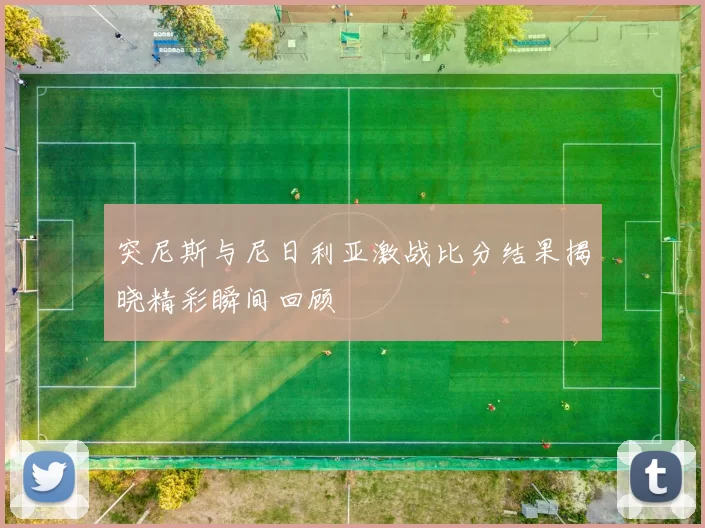 突尼斯与尼日利亚激战比分结果揭晓精彩瞬间回顾