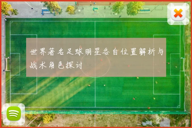 世界著名足球明星各自位置解析与战术角色探讨
