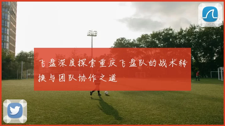飞盘深度探索重庆飞盘队的战术转换与团队协作之道
