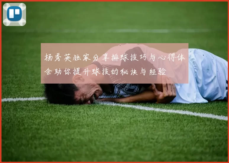 杨秀英独家分享排球技巧与心得体会助你提升球技的秘诀与经验