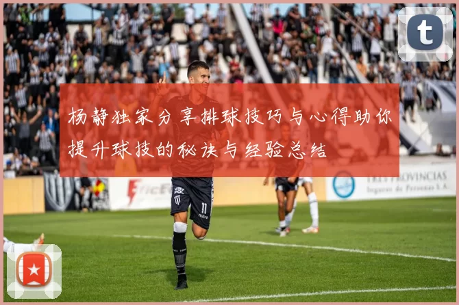 杨静独家分享排球技巧与心得助你提升球技的秘诀与经验总结