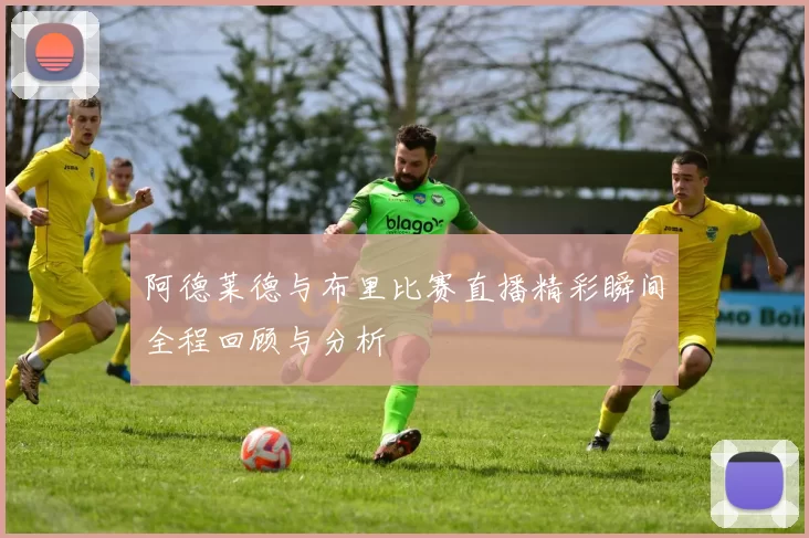 阿德莱德与布里比赛直播精彩瞬间全程回顾与分析