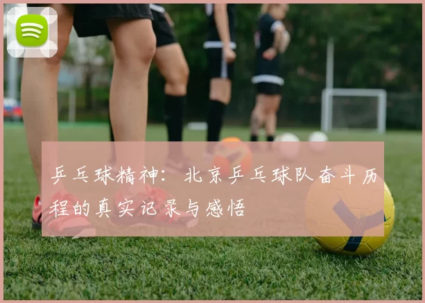 乒乓球精神：北京乒乓球队奋斗历程的真实记录与感悟