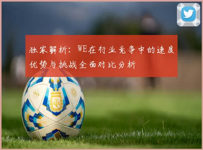 独家解析：WE在行业竞争中的速度优势与挑战全面对比分析