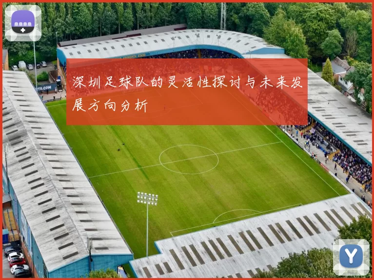 深圳足球队的灵活性探讨与未来发展方向分析