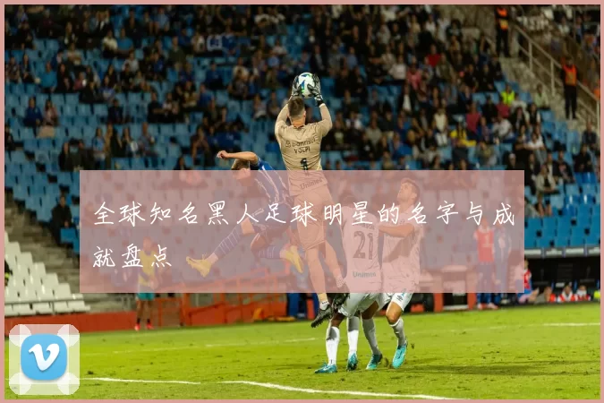 全球知名黑人足球明星的名字与成就盘点