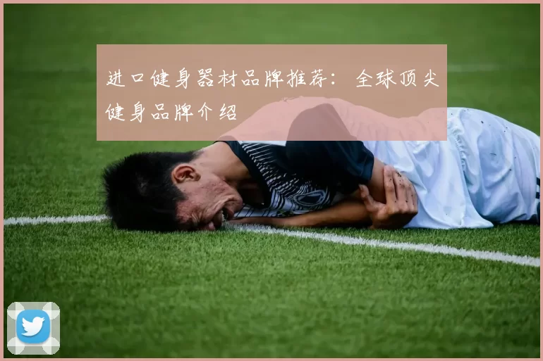 进口健身器材品牌推荐：全球顶尖健身品牌介绍