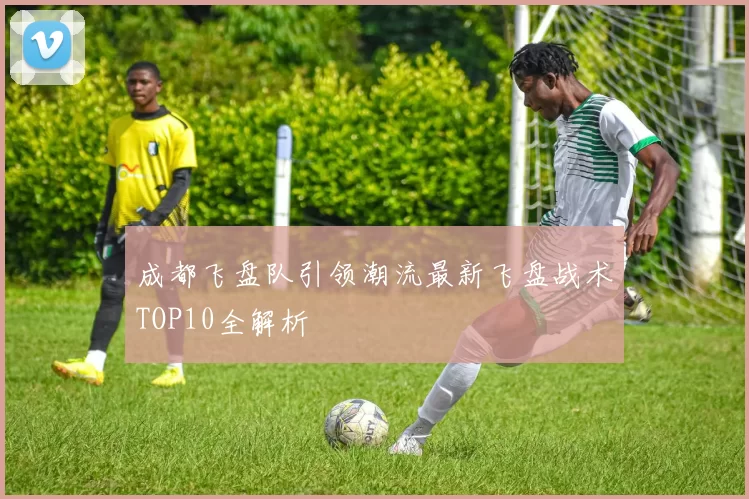 成都飞盘队引领潮流最新飞盘战术TOP10全解析