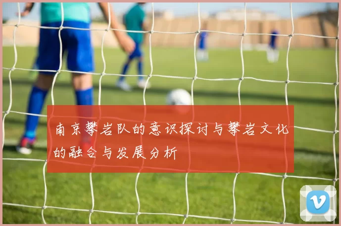 南京攀岩队的意识探讨与攀岩文化的融合与发展分析