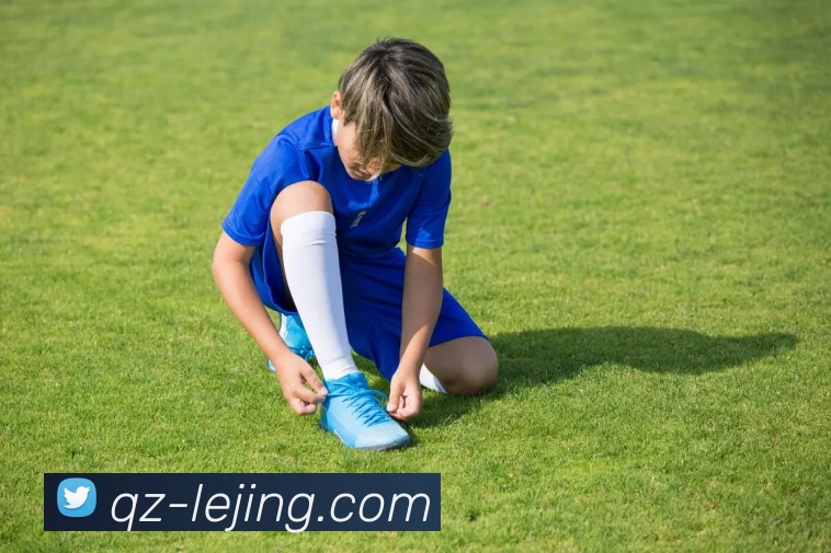 乐竞体育平台生态图